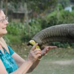 Nancy Shippen Feeding Elephant